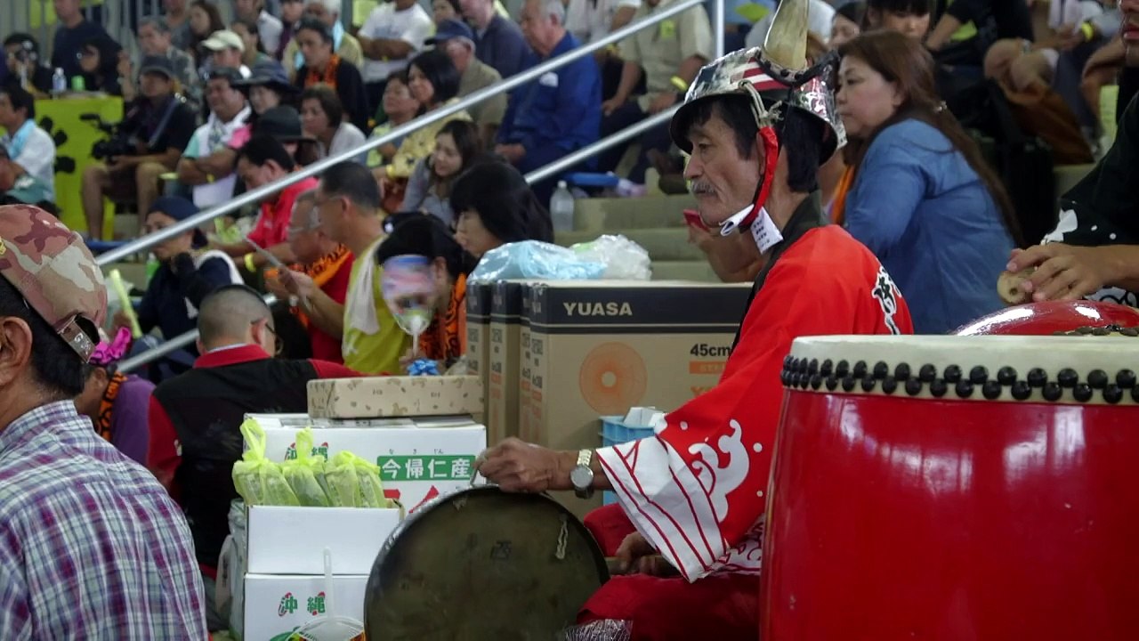 A pampered life for Japan's prizefighter bulls
