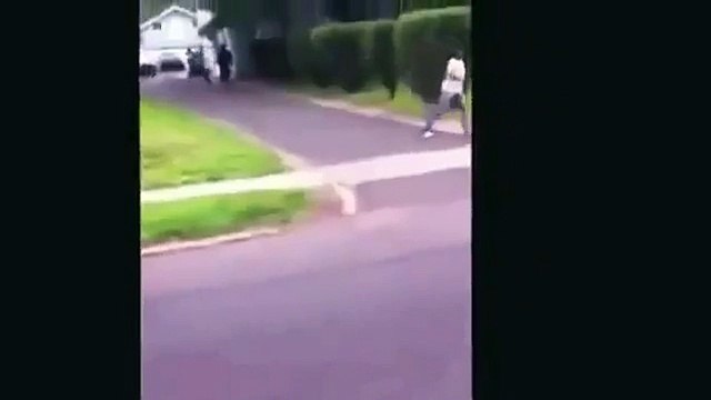 Gruesome dog attack caught on camera as witnesses try to pull them off