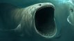BIGGEST Animal EVER Recorded in the Ocean Depths?