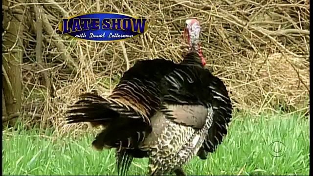 John Mayer - I'm Gonna Find Another You (Letterman 11-23-06)