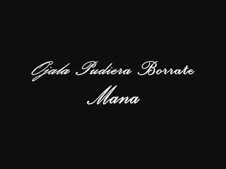 Ojala pudiera borrarte - Mana