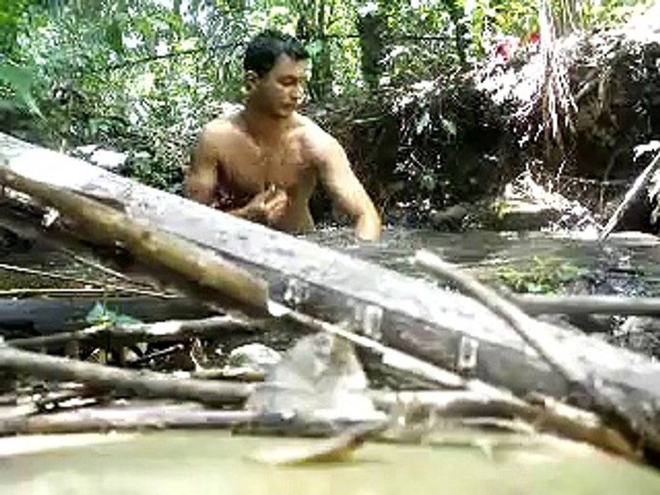 tarzan