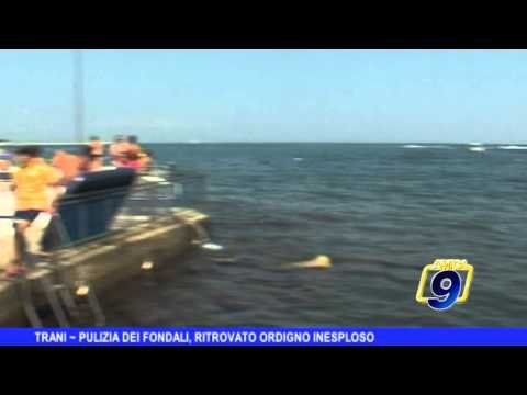 TRANI | Pulizia dei fondali, ritrovato ordigno inesploso