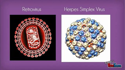 Types of Viral Vector for Gene Therapy