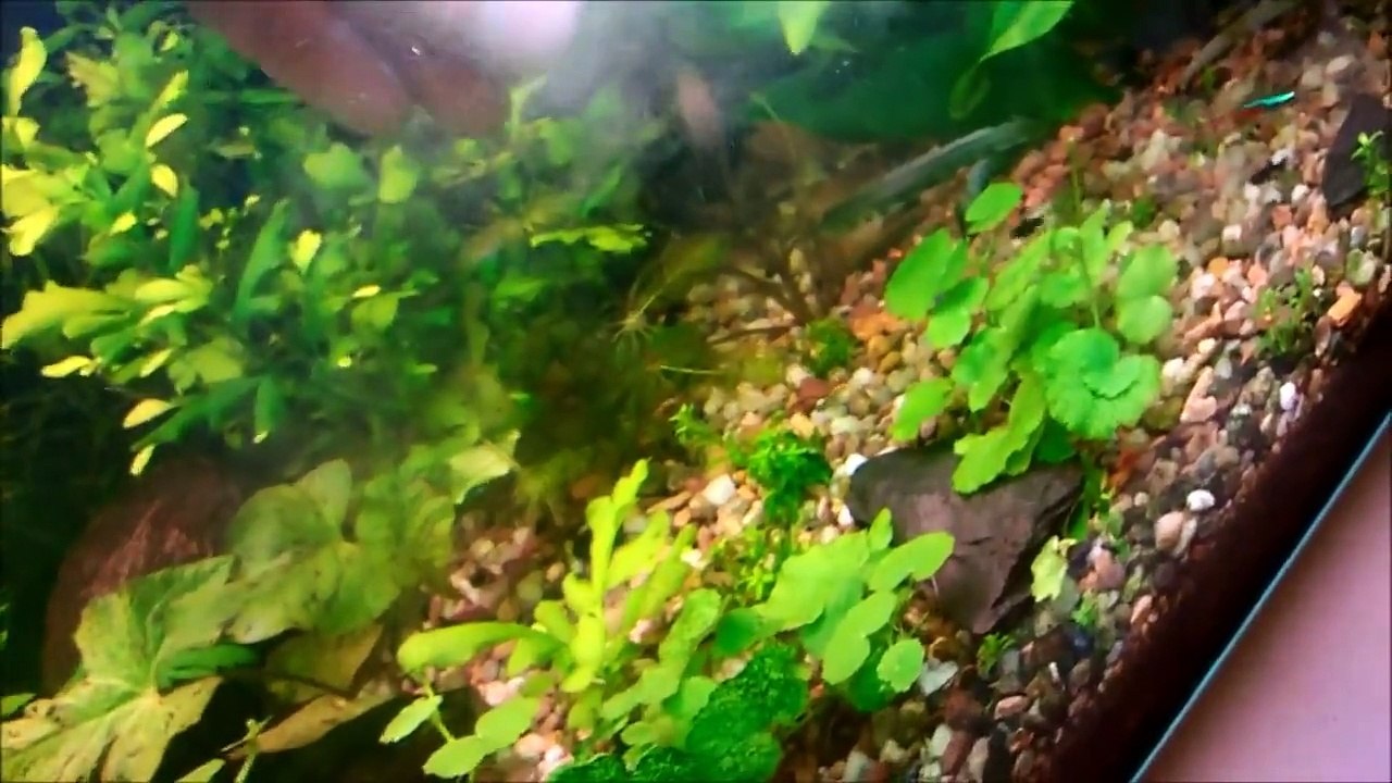 jak zrobić TWINSTAR DIY - czyli ozonator jonizator sterylizator