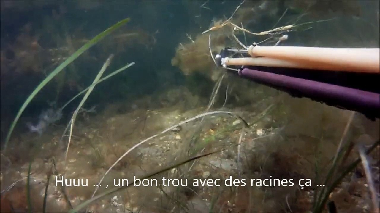 Suurprise ...