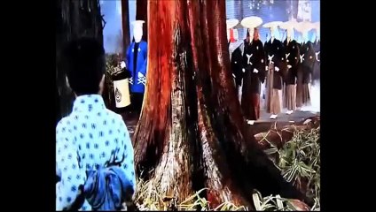 Darkwood - Dream Of Flowers