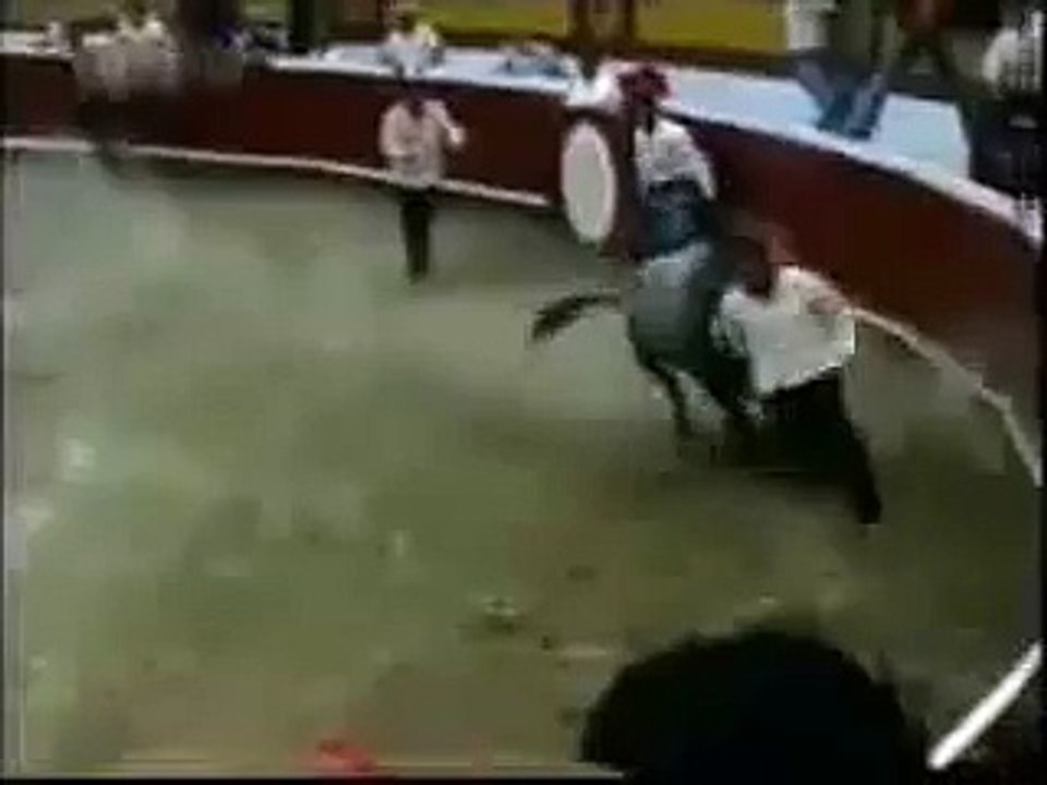 Bull Vs Man