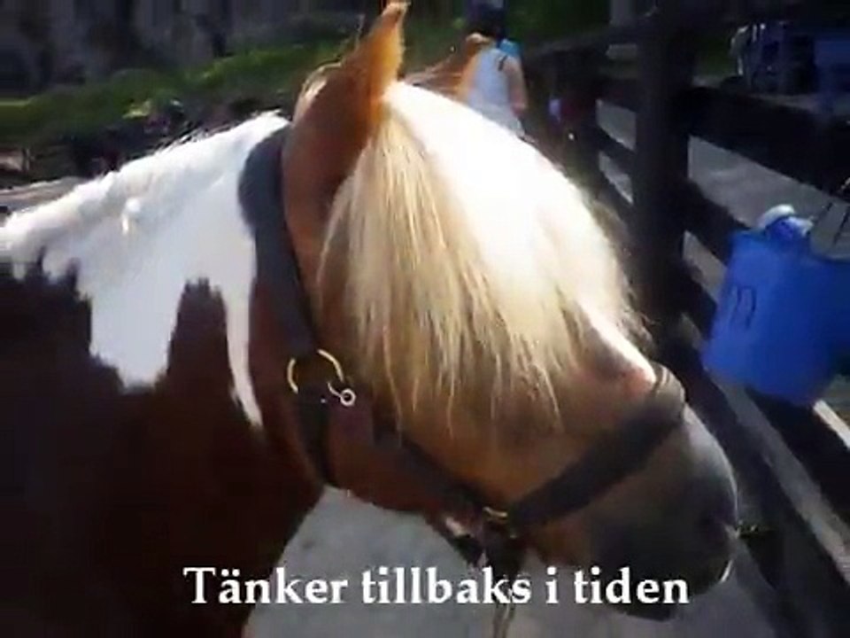 Jag saknar dig Sam