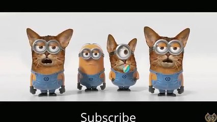 Banana Minions Version Cat Face LOL - Funny clip