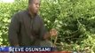Pig Weed Threatens the Agriculture Industry by Overtaking Fields of Crops - ABC News.flv
