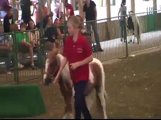 2009 HUNTER  MINIATURE HORSE PORTER COUNTY FAIR