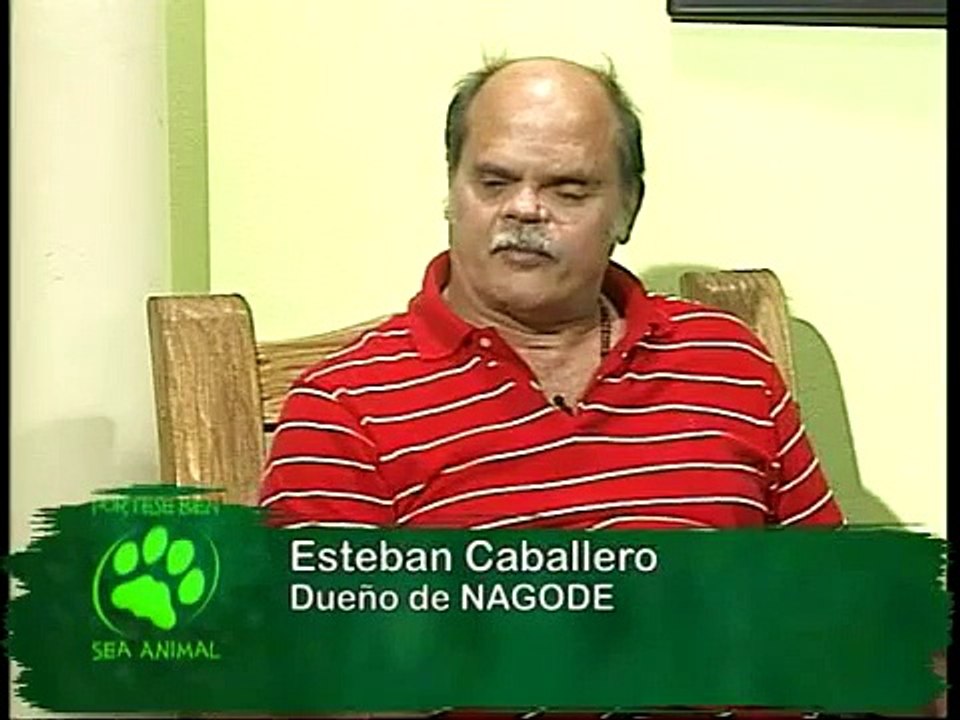PÓRTESE BIEN SEA ANIMAL (09-03-14) - - "Perro lazarillo Nagode"