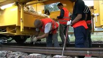 Vehículos de Auscultación - Trenes de Renovación - Vagones de transporte