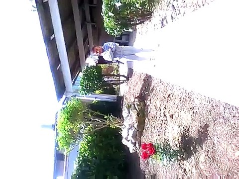 lucas danse sur ses prises de catch préférés♥♥♥avril 2015