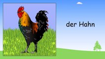German for kids DVD set - Children learning German - Deutsch für kinder - Germany
