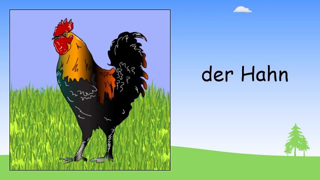 German for kids DVD set - Children learning German - Deutsch für kinder - Germany