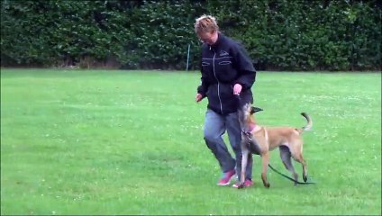 Reva obedience training 25-7