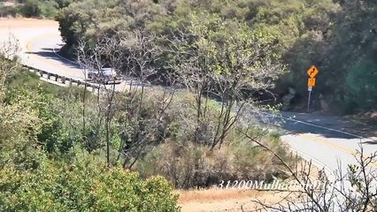 Drag car on public road = cop intervention