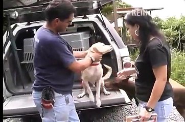 Rescate y Rehabilitación/Huesitos, Pacho y Max