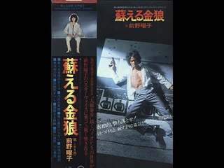 前野曜子　蘇る金狼のテーマ