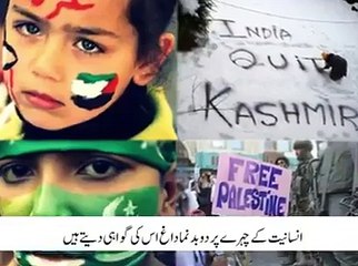 Why India Banned this video Watch and share