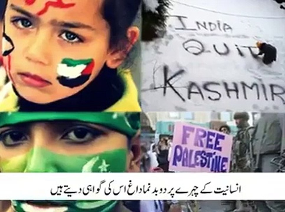 Why India Banned this video Watch and share