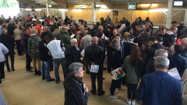 Courses hippiques au Pertre