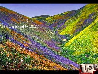 Chand Meri Zameen,Phool Mera Watan (Beautiful Creation of Allah...Our Country PAKISTAN...)