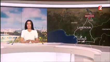 Cameroun : 20 morts dans un nouvel attentat suicide à Maroua