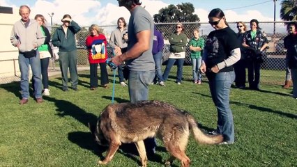 Robert Cabral - Founder / Executive Director  Bound Angels