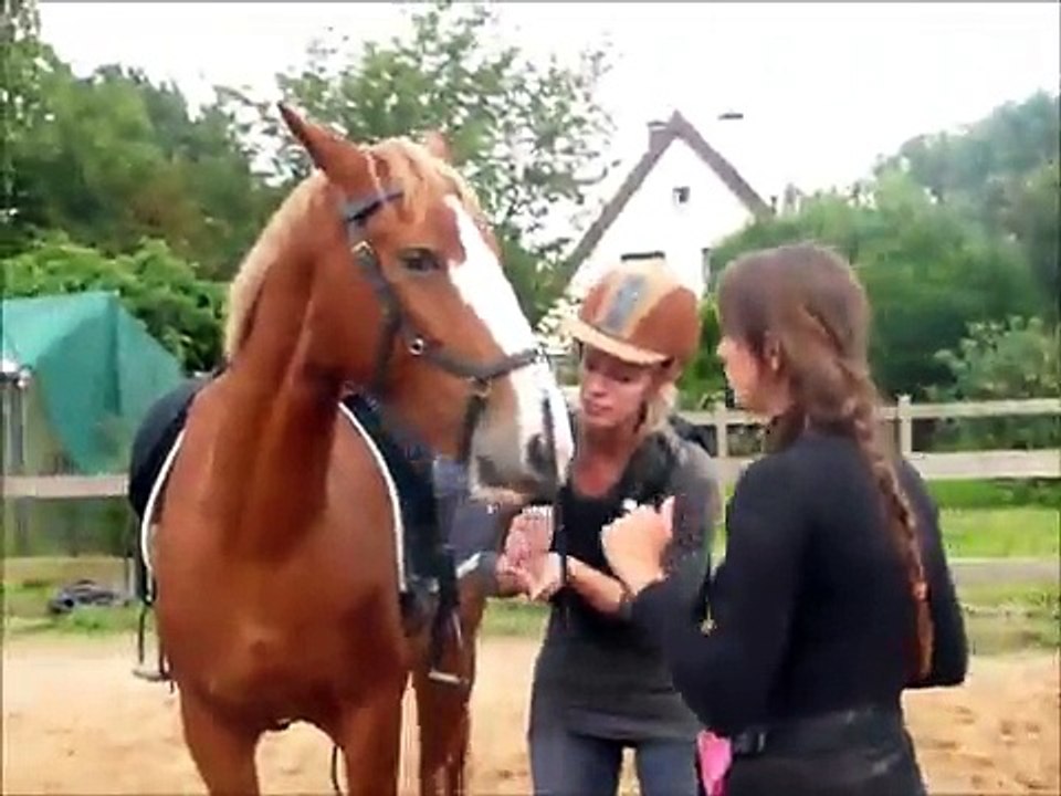 Kira en Marieke in training bij Blokkadevrijpaard.nl - Gelders paard / Gelderlander horse