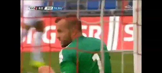 2-2 Etoundi Goal Switzerland Super League - 26.07.2015,  FC Vaduz 2-2 FC Zürich