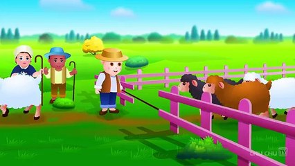 Baa-Baa-Black-Sheep---The-Joy-of-Sharing