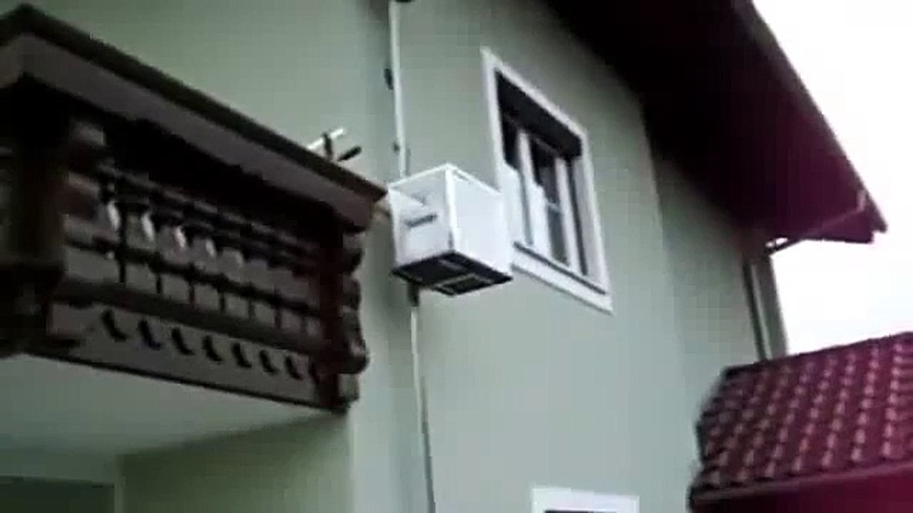 Lift For Cat - Funny Videos