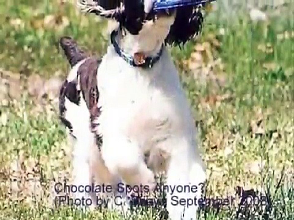 Angie Be SoundWaves Tell You Who We Are