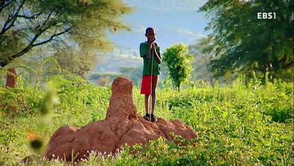 세계의 눈.150726.자연의 건축가, 흰개미.