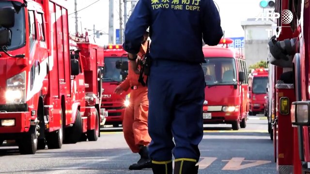 Three dead as small plane crashes into Tokyo suburb