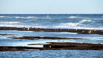 Playa Miramar Rocky Point Puerto Penasco Mexico