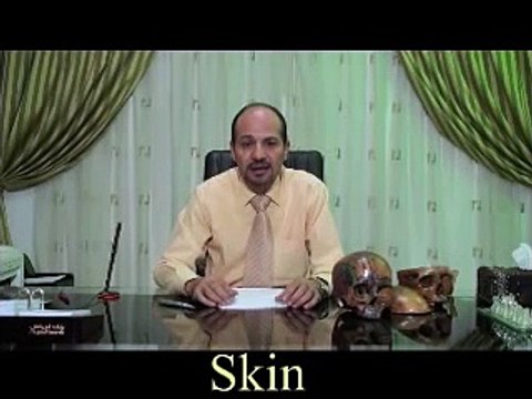 anatomy head and neck layers of the scalp