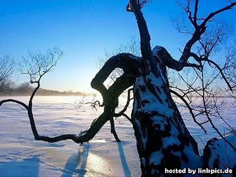 Enigma - Shadow of Silence
