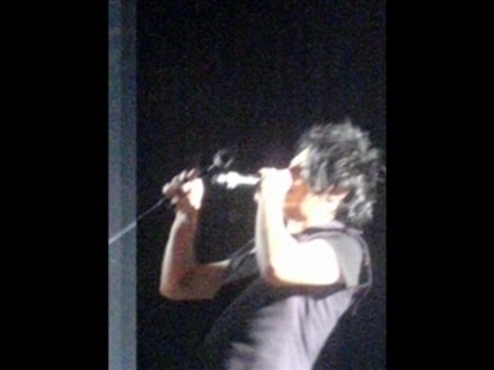 Indochine Lyon mars 2007