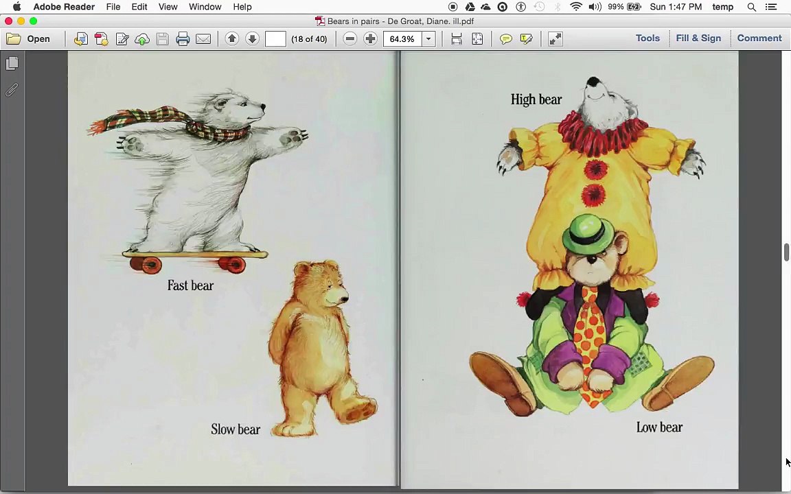 Bears in Pairs (read aloud)