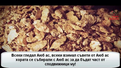 Аюб АС пратеника който изгубил всичко !