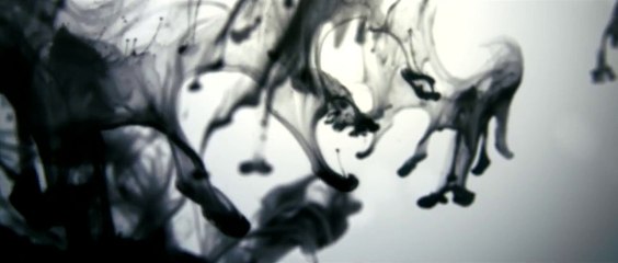 Black Ink - Porsche 911 Carrera Black Edition models