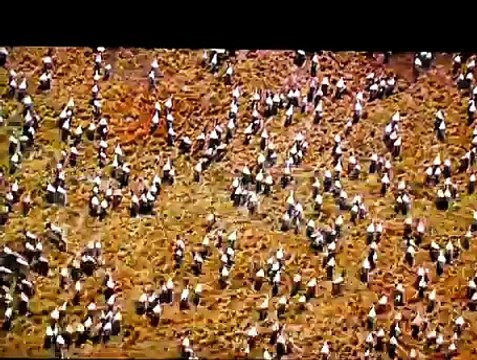 National Geographic. Les Grandes Migrations