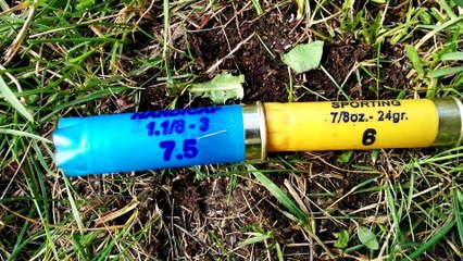 Tir au pigeon d'argile remigton 870/Mossberg 535