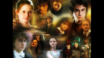 Harry and Ginny (love forever)