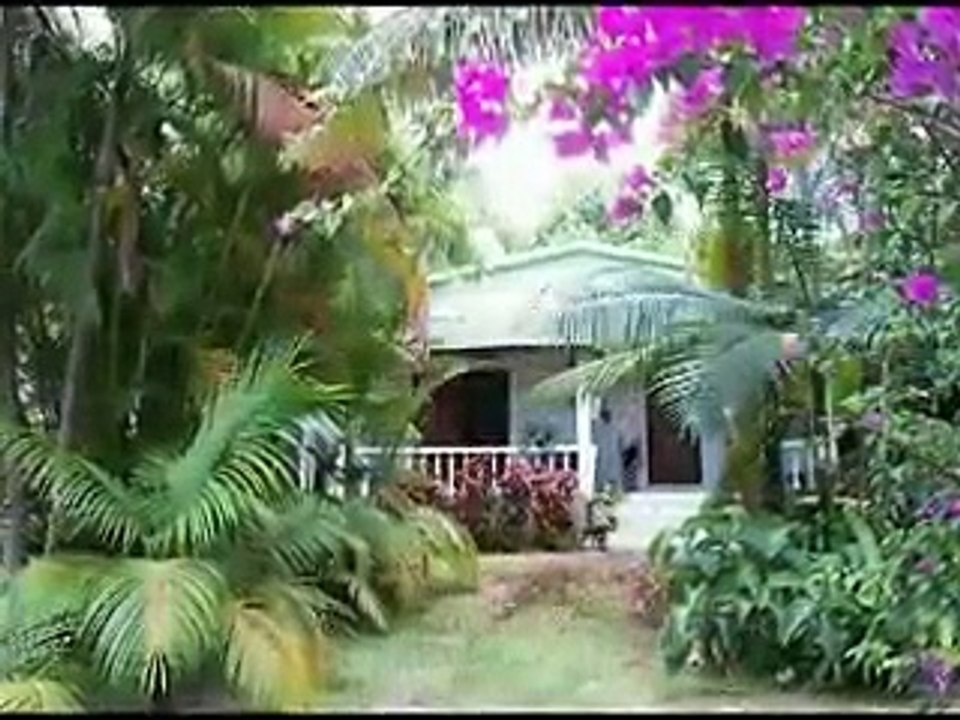case creole ile de la reunion 1.mp4