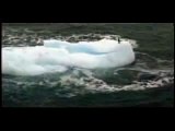 Greenpeace - Filme TV 30s Mudanças Climáticas